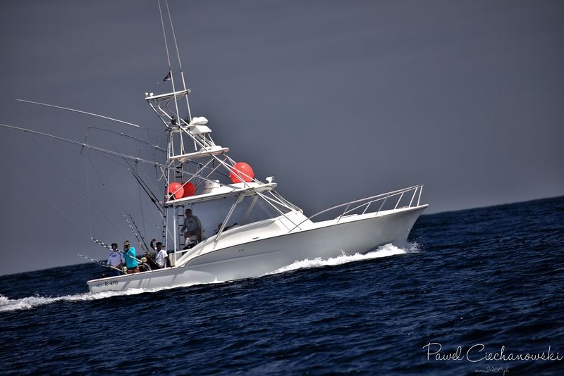GOMERA 2020 – Blue Marlin
